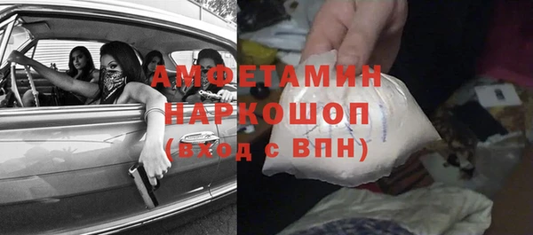 шишки Горняк