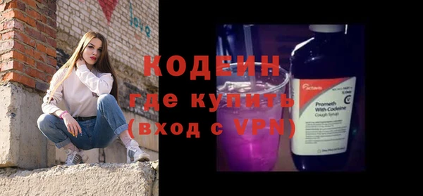 шишки Горняк
