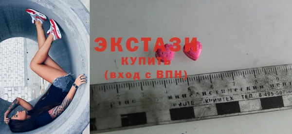 шишки Горняк