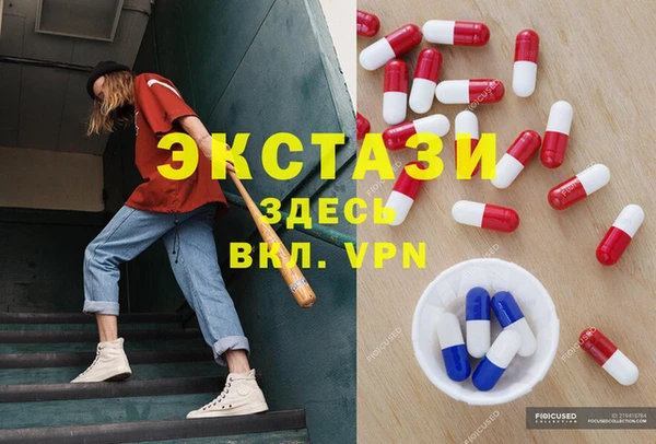 шишки Горняк