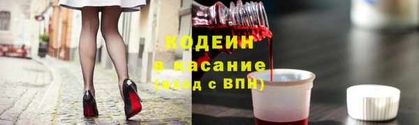 шишки Горняк
