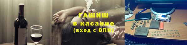 шишки Горняк