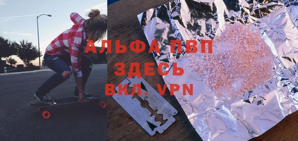 шишки Горняк