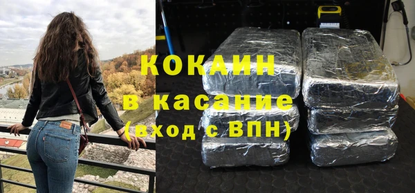 шишки Горняк