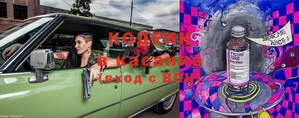 шишки Горняк