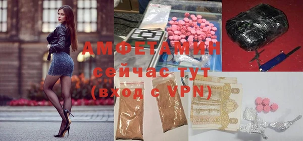 шишки Горняк