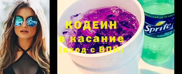 шишки Горняк
