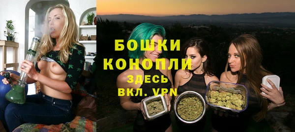 шишки Горняк