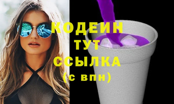 шишки Горняк